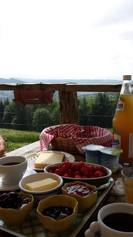 Les Grandes Fontaines Bed & Breakfast La Longine Luaran gambar